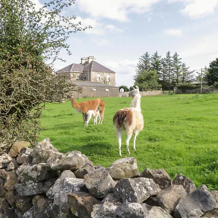 The Lazy Llama Ballyshannon