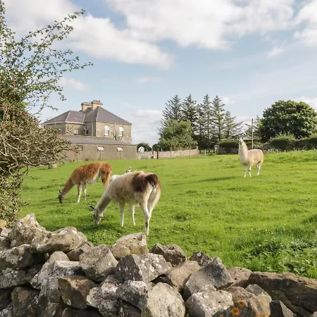 The Lazy Llama Ballyshannon